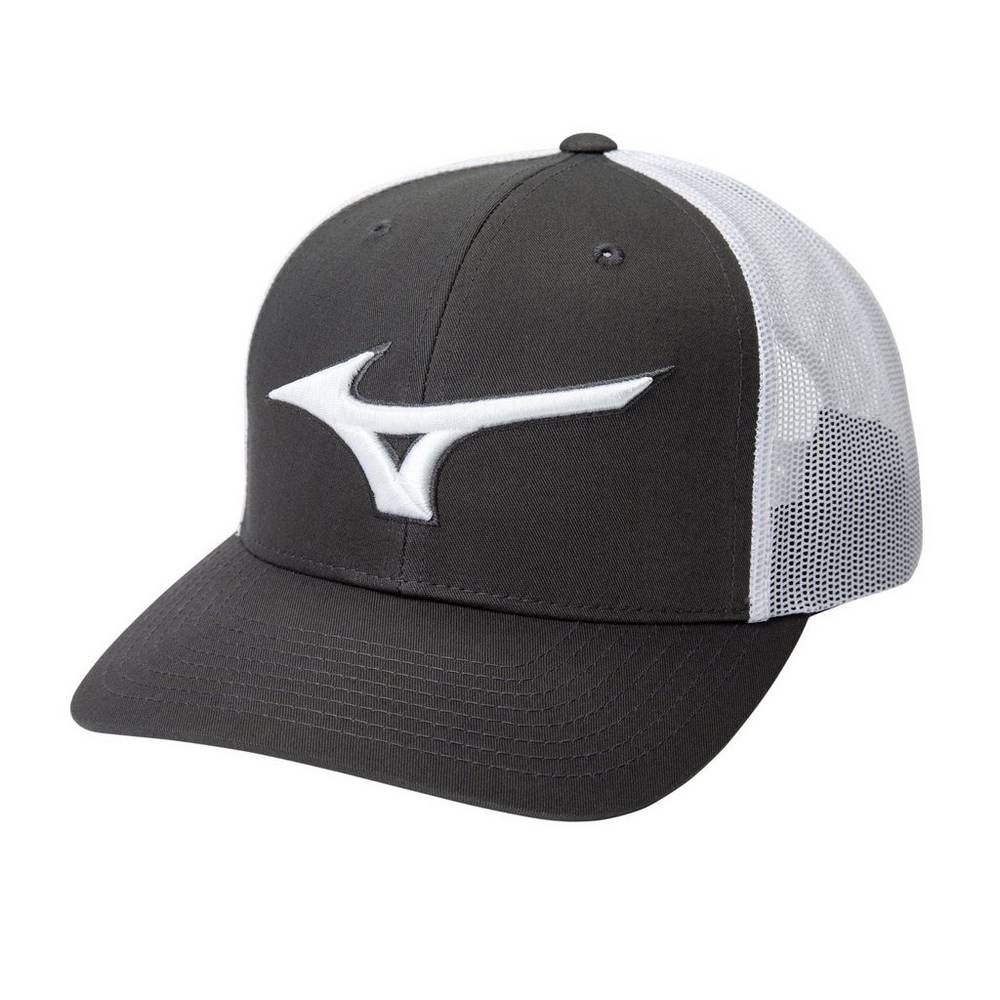 Mizuno Diamond Trucker Férfi Kalapok Szürke/Fehér VLW472580